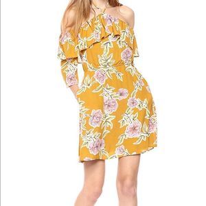 Stunning Cupcakes and Cashmere Fonda Dress in Yellow Gold